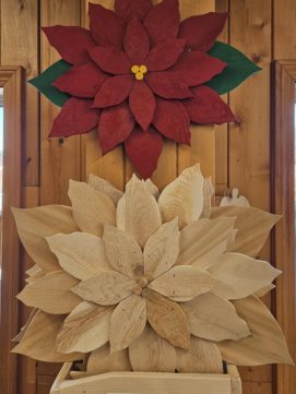 Poinsettia